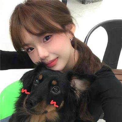 整体风格偏向电影与电视剧的融合呈现，亮点明确，适合作为站内重点推荐内容。